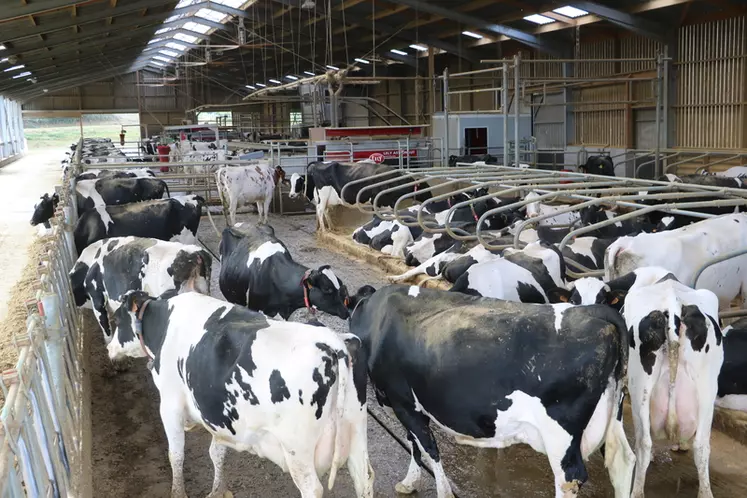 D’après Dairy 4 Future, le système « tout bâtiment » avec des vaches à 10 000 kg de lait permet d’avoir une empreinte carbone équivalente à celle des systèmes pâturants ou mixtes.  