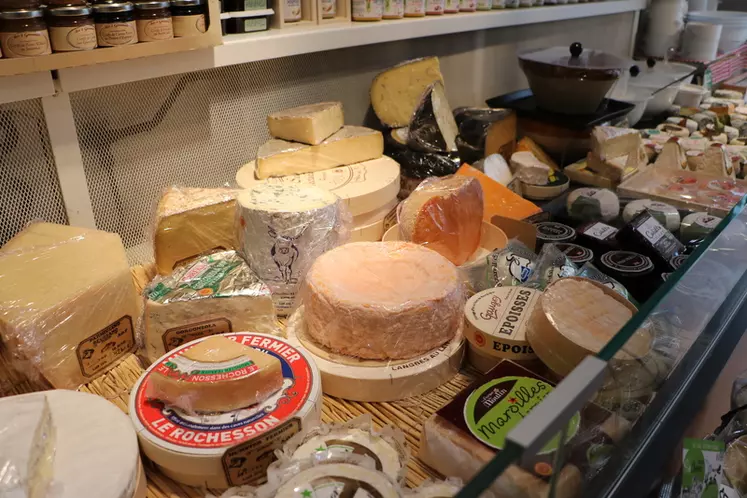 Les fromages AOP se distinguent par une proportion de ventes en commerces spécialisés plus importante (14,1%) que pour les fromages non AOP (4,8%).