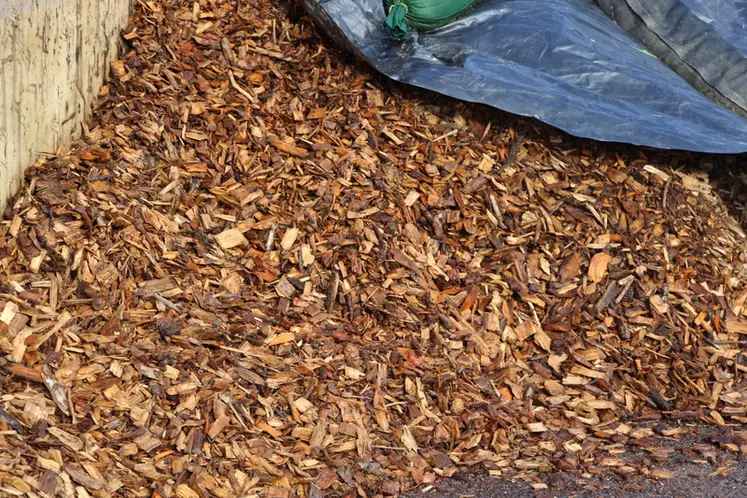 Le fumier issu du mélange copeaux-bois des génisses est épandu en fin d’automne et ramène du carbone dans le sol. 