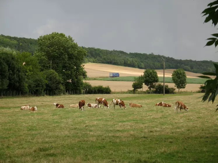 En Bourgogne Franche-Comté, le prix de revient du lait 2022 est estimé à 454 €/1 000 l en plaine, alors que le prix de vente du lait est estimé à 426 €.