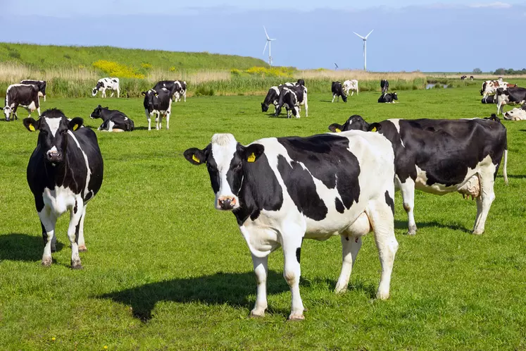 Dans les pays nordiques (Allemagne,Irlande, Pays-Bas), la PAC servira àaccompagner les éleveurs pour répondre aux nouvelles normes nationales environnementales.