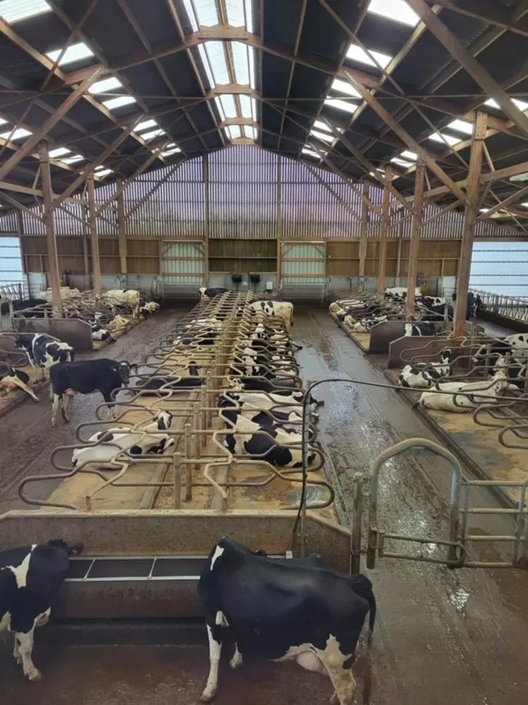 « Nous intensifions notre production laitière tout en maîtrisant notre empreinte carbone »