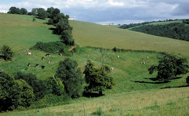 Les éleveurs adhérents de la Coopal sont situés en grande majorité en zone de montagne, en Haute-Loire, Puy-de-Dôme, Creuse, Corrèze, Allier, Cantal.