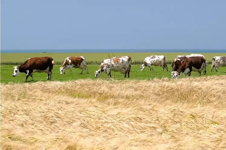 La proximité des exploitations facilite les collaborations entre éleveurs et céréaliers