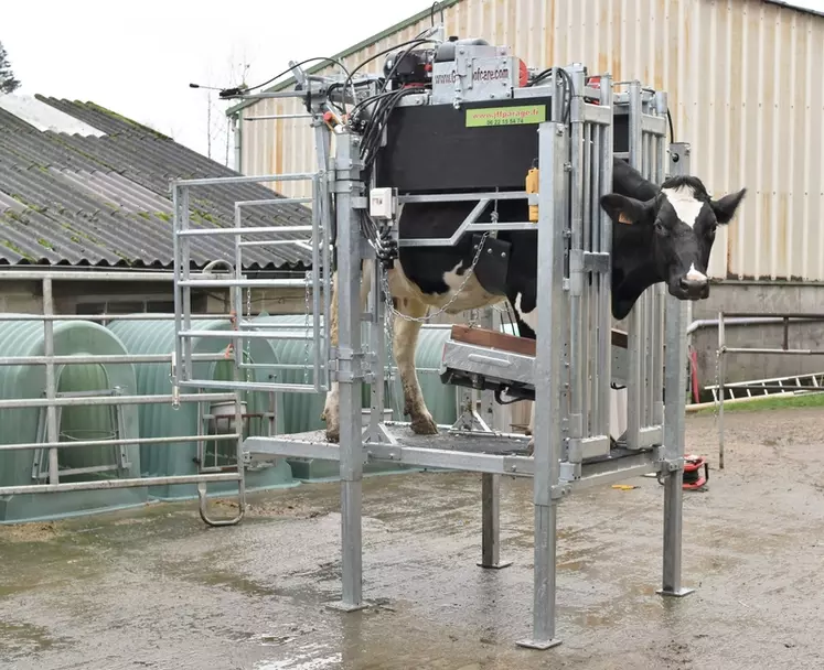 Les cages équipées d'un système de levage hydraulique sont réservées aux très grands troupeaux et aux éleveurs sensibles du dos.  