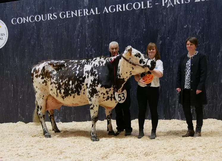 EC Malbare - Elevage Hervé Legay en Mayenne - Meilleure fromagère