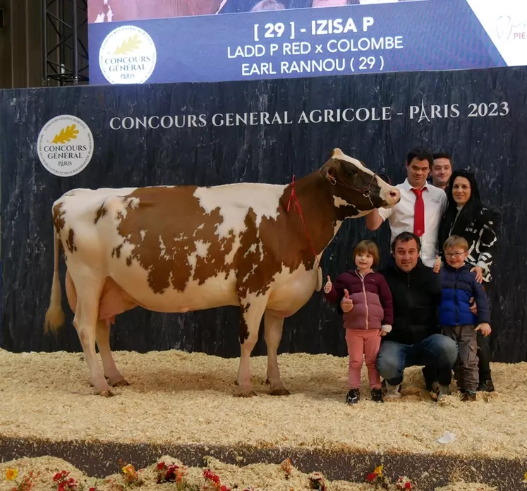 Izisa P - Earl Rannou dans le Finistère - Meilleure laitière