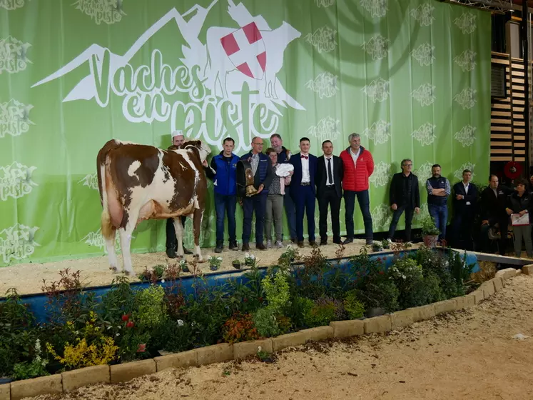 Javeline (Brink) - Gaec Elevage Poignard dans le Doubs - Grande championne du national Montbéliard