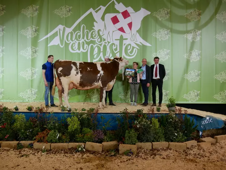 Javeline (Brink) - Gaec Elevage Poignard dans le Doubs - Championne sénior et Meilleure carrière