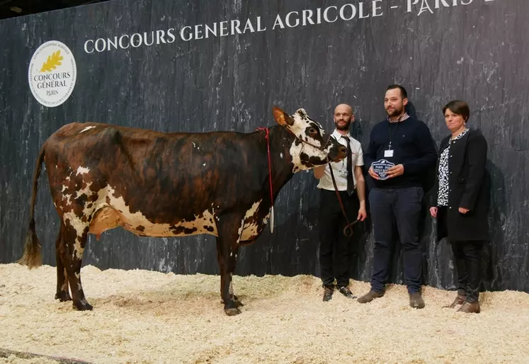 Parisienne - Gaec De La Bissonnière dans la Sarthe - Meilleure mamelle jeune