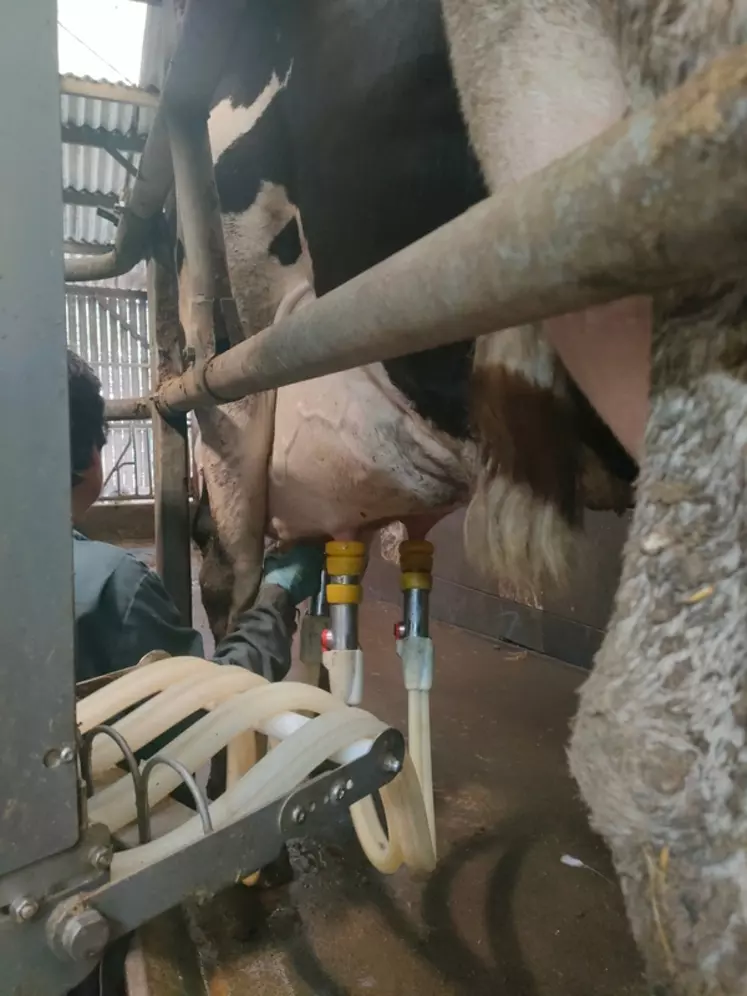 À la mise en marche, les tuyaux sortent de leur armoire de rangement. Chaque manchon se branche individuellement. Au moment de la dépose, les gobelets se rétractent dans ...