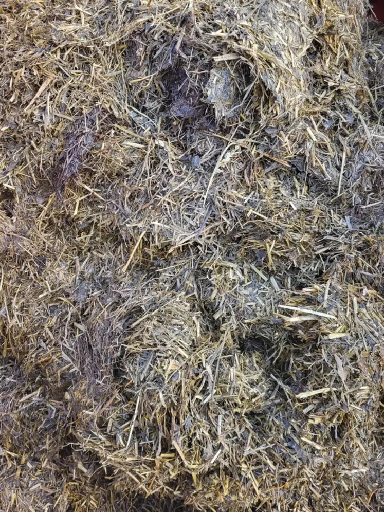 ensilage d'herbe, silo, alimentation vaches