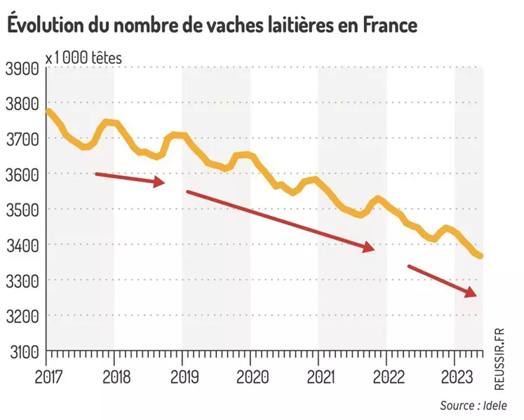 La baisse du cheptel bovin s’accélère en France