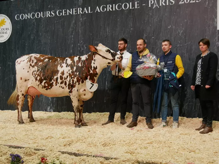 Rauline LG - Elevage Cécile Lengronne dans la Manche - Championne jeune