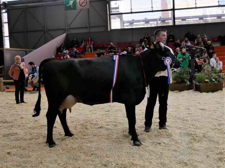 Piscine -Ferme du Coucou dans le Nord - Championne jeune