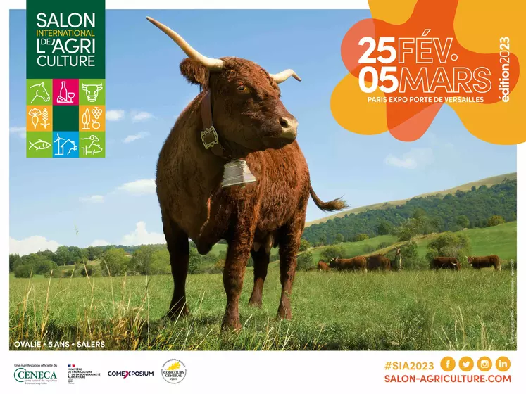 Affiche vache salers du salon de l'agriculture