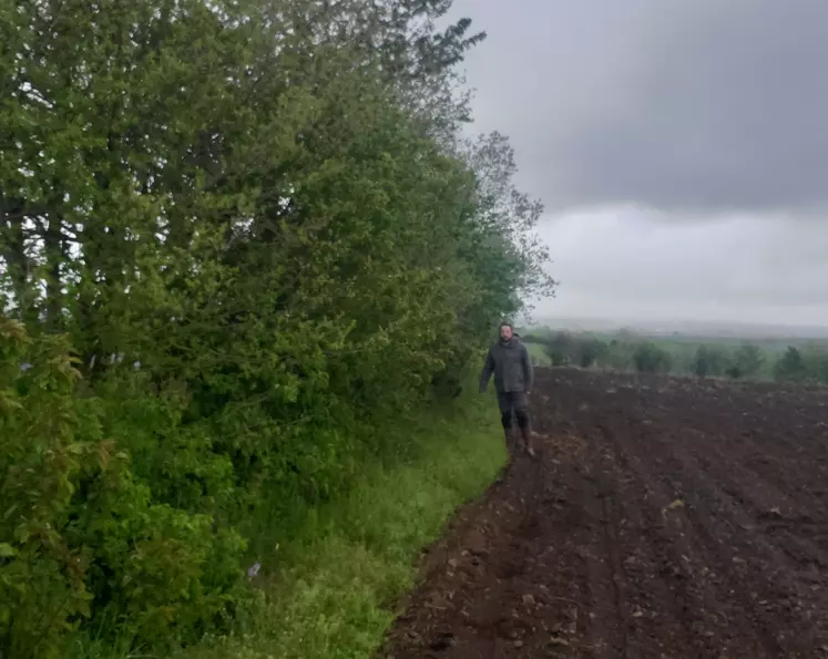 Christophe Vidal, éleveur dans le Cantal, devant sa haie