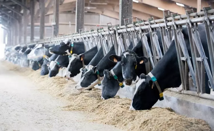 Valorex détaille que «avec un ajout de 0,5 kg de Tradilin, on peut faire baisser en moyenne les émissions de méthane entérique de 9% par litre de lait produit et ...