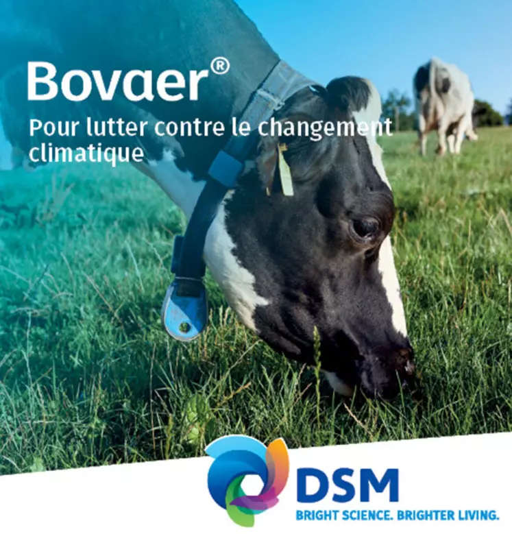 DSM nutritional products : Bovaer®10, un supplément alimentaire pour réduire les émissions de méthane entérique
