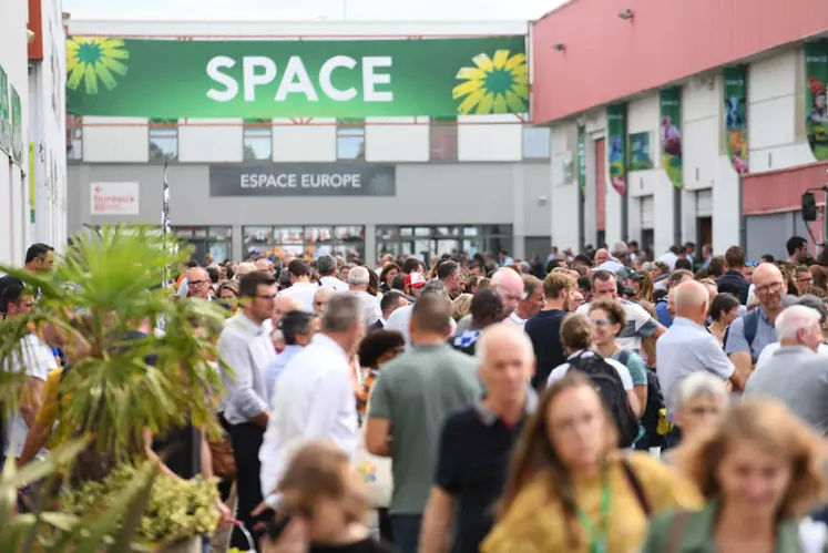 Foule au Space à Rennes