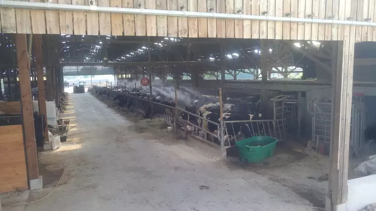 bâtiment d'élevage laitier