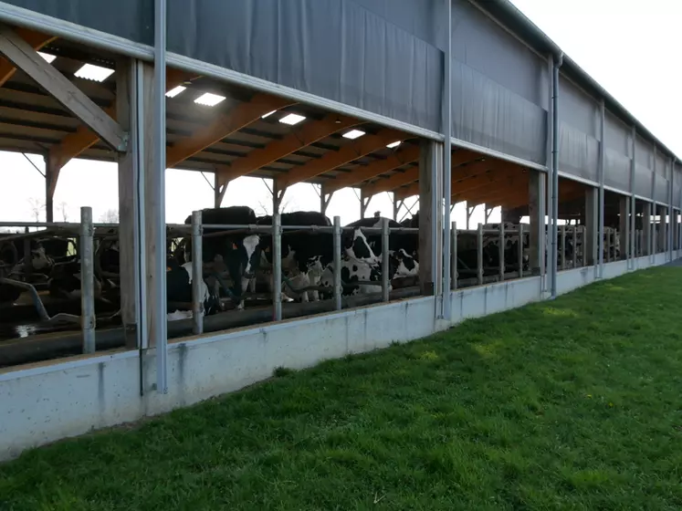 stabulation vaches laitières en Loire-Atlantique, logettes, matelas à eau, filet brise vent