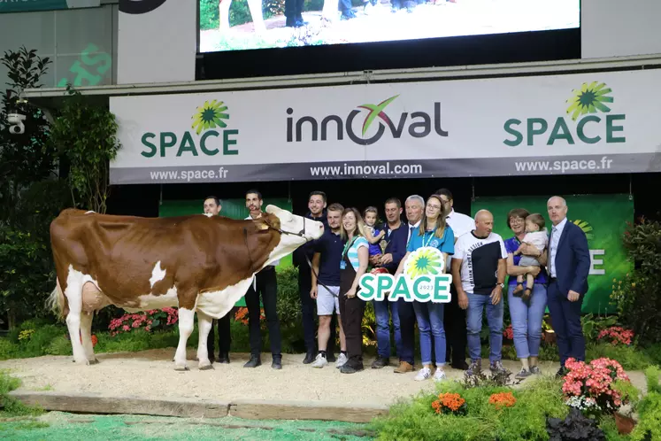 Madison, vache montbéliarde sur le podium du Space 2023