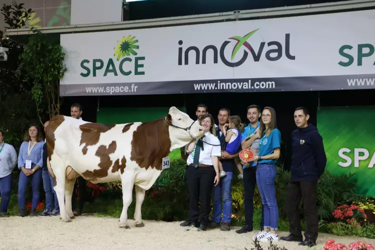 Polka, vache montbéliarde sur le podium du Space 2023 