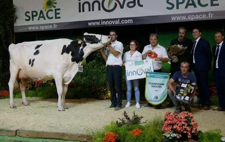 champ adulte space 2023 prim'Holstein