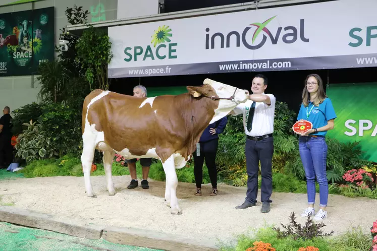 Sabella, vache montbéliarde sur le podium du Space 2023