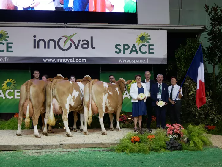 simmental, le lot français remporte le challenge