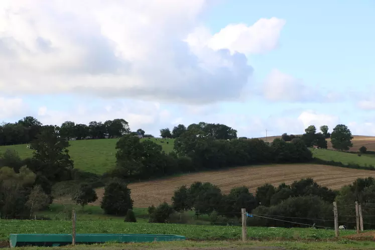 paysage avec prairie et parcelle de culture