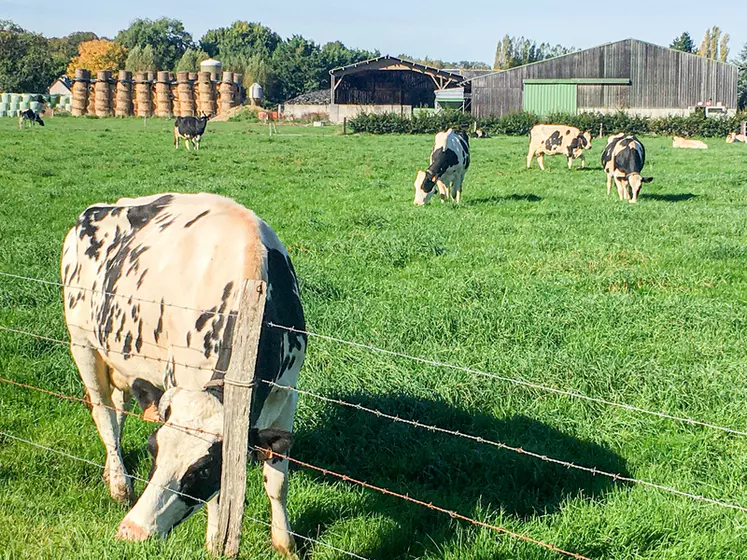 Valoriser l’herbe d’automne pour maîtriser ses charges en élevage laitier