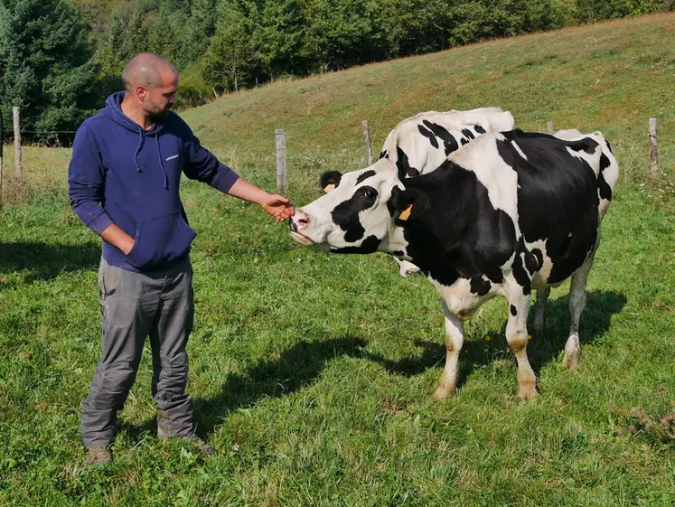 Eleveur avec sa vache remise de la FCO 