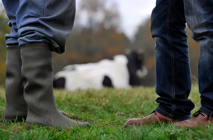 Relations entre éleveurs et industriels laitiers. Dossier de contractualisation. Producteur de lait et représentant de la laiterie. Discussion sur fond de vaches au ...