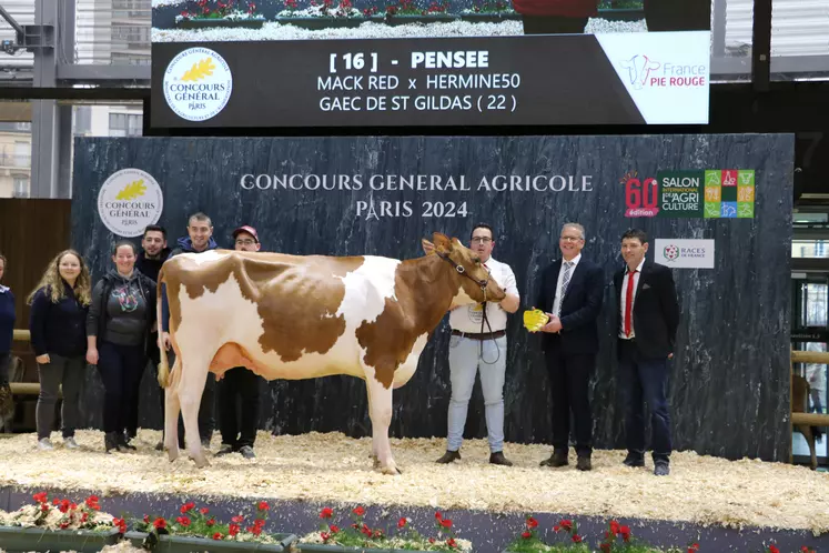 Pensée, grande championne, championne jeune et meilleure mamelle Jeune 