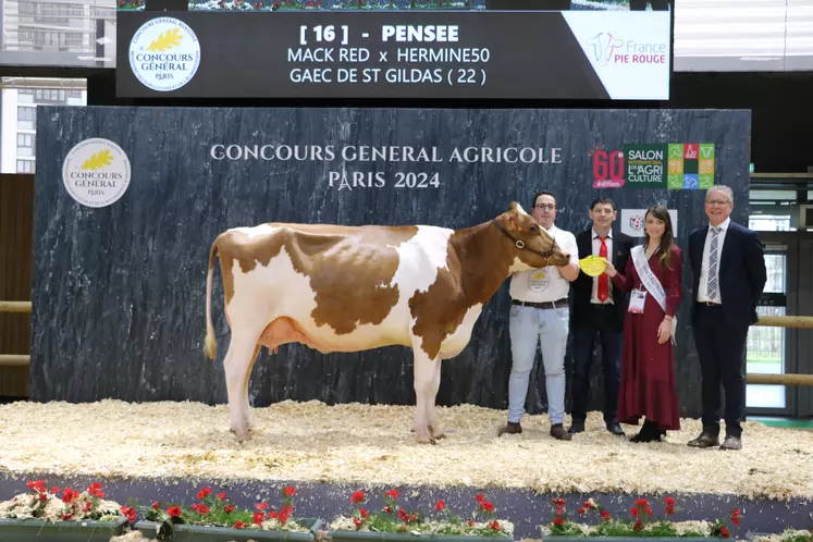 Pensée, grande championne, championne jeune et meilleure mamelle Jeune 