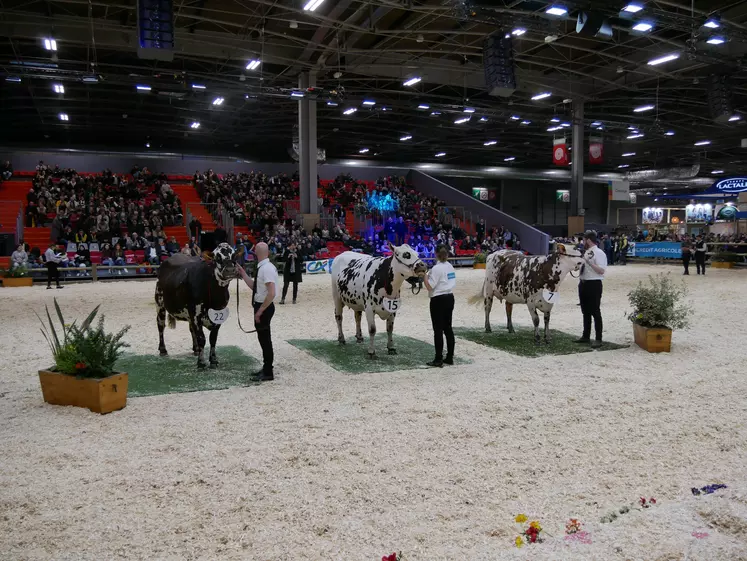 concours vaches laitières normandes au sia 2023