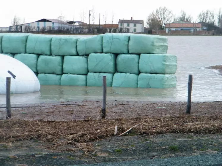 Balles de fourrage enrubanné, inondées à cause des intempéries.