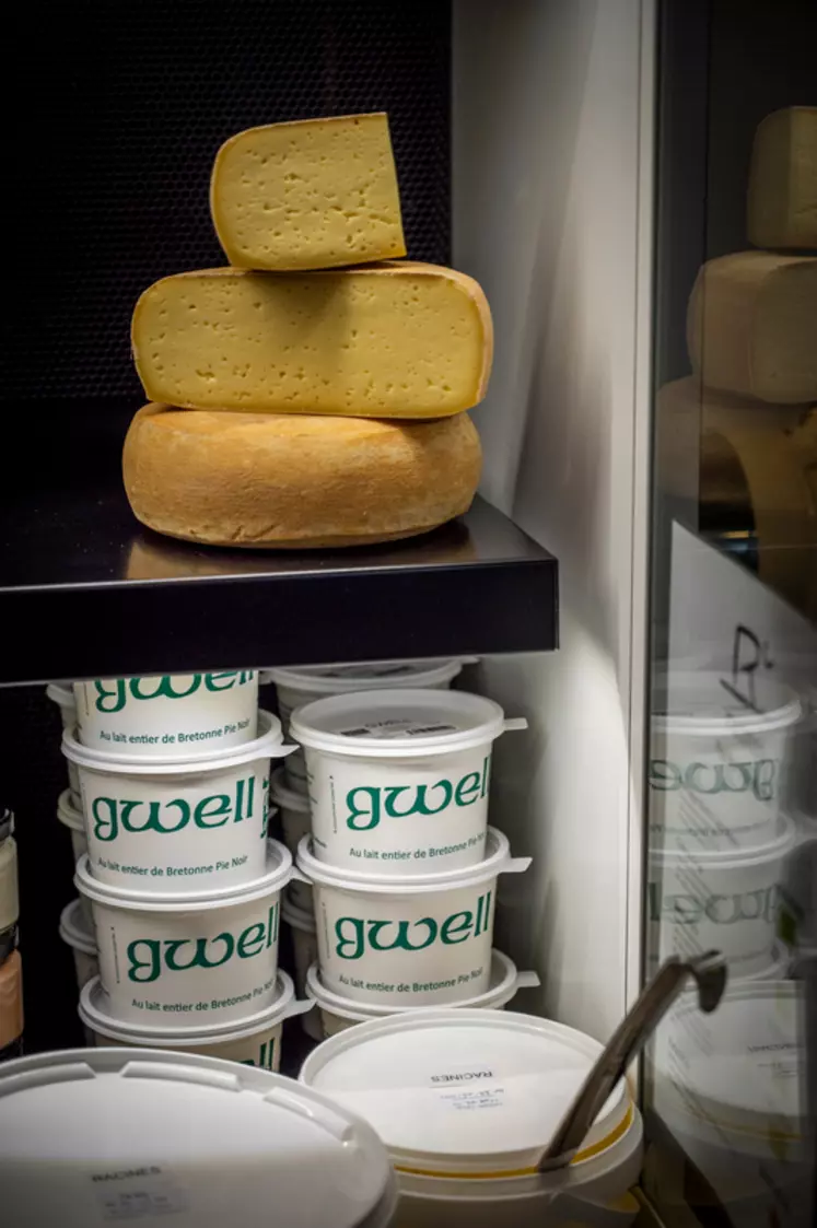 Le Gwell existe comme produit à consommer mais aussi comme ferment pour ensemencer les laits destinés à faire des fromages.