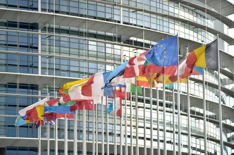 Drapeaux des Etats membres devant le Parlement européen à Strasbourg. Drapeau. Europe.