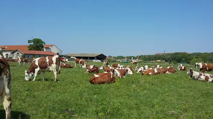 Le mélange doit comporter au moins 400 à 500 graines par mètre carré de graminées résistantes au sec : fétuque élevée et dactyle, avec un rapport au minimum de deux ...