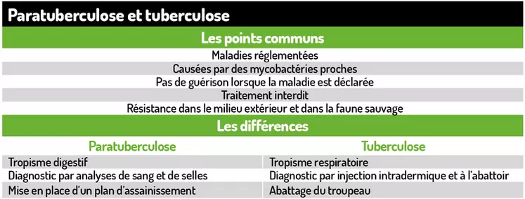 Points communs et différences entre paratuberculose et tuberculose