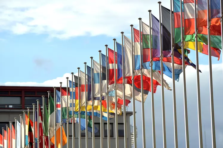 Drapeaux des Etats membres devant le parlement européen à Strasbourg. Drapeau. Europe.