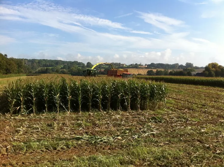 Chantier d'ensilage. Sol lourd. Résidus de culture. Récolte du maïs. Ensileuse, tracteur et benne.