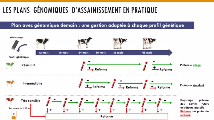 En associant les outils génomiques et les plans d’assainissement, les éleveurs devraient pouvoir réformer les animaux sensibles le plus rapidement possible, aussi bien ...