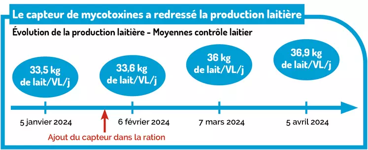 Le capteur de mycotoxines a redressé la production laitière