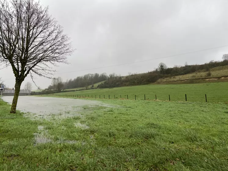 Une prairie inondée.