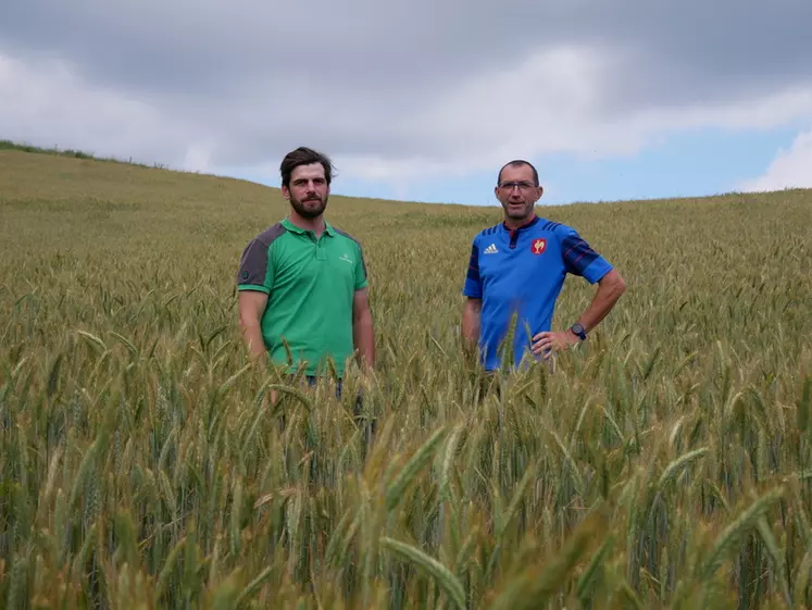 éleveur et son conseiller dans le rhône dans une parcelle de céréales qui ont été pâturées en hiver.