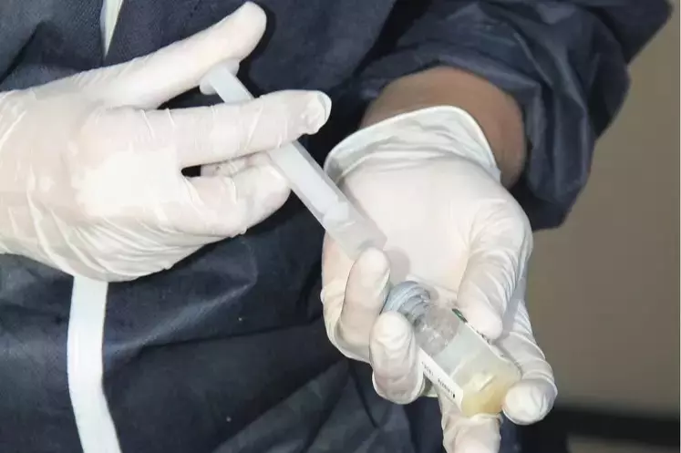 Mains d'un vétérinaire préparant une injection de vaccin